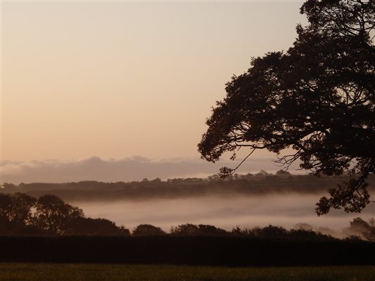 Autumn mists over Countryside around Forda Farm Bed and Breakfast.